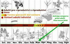 Ciclo Sputacchina 2016