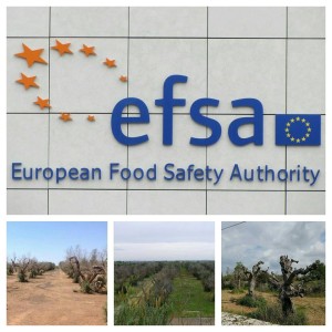 Logo EFSA