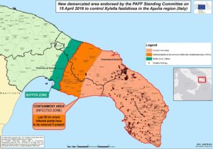 Mappa per la strategia di contenimento di Xylella