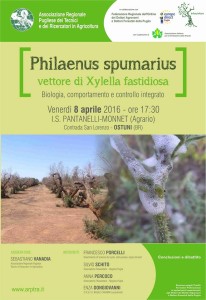 Philaenus spumarius vettore di Xylella fastidiosa - Biologia, comportamento e controllo integrato